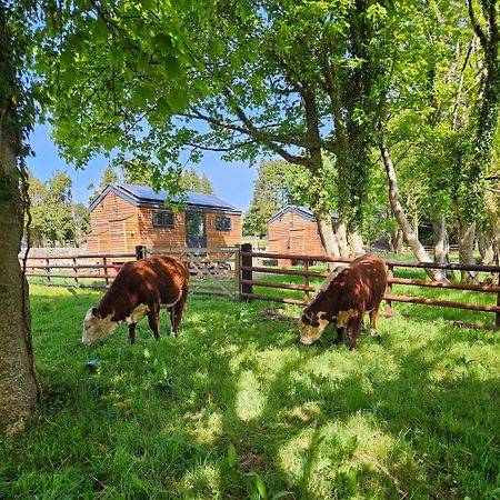 Woodland Shepherds Hut - 'Saga' เคอร์นาวอน ภายนอก รูปภาพ
