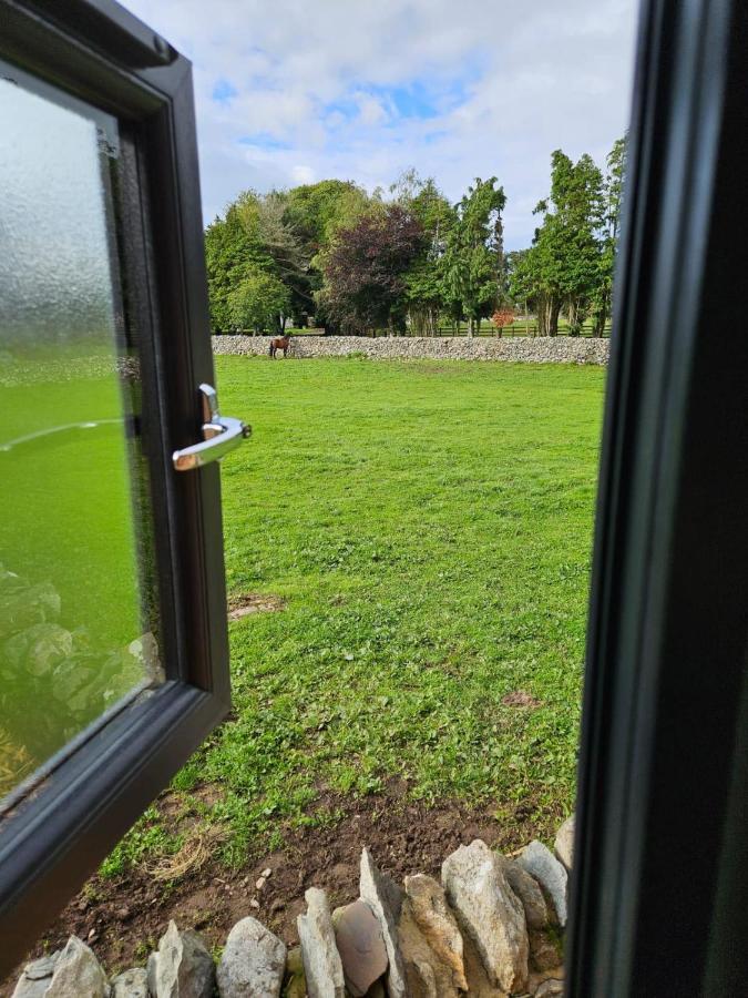 Woodland Shepherds Hut - 'Saga' เคอร์นาวอน ภายนอก รูปภาพ