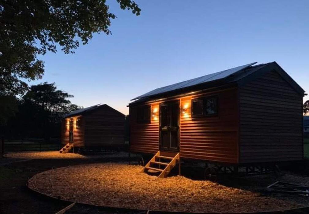 Woodland Shepherds Hut - 'Saga' เคอร์นาวอน ภายนอก รูปภาพ